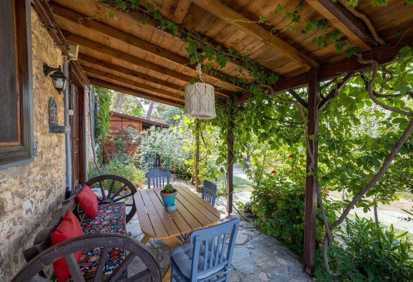 اتاق خانوادگی, Aral Tatil Ciftligi