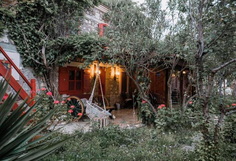 اتاق خانوادگی, Aral Tatil Ciftligi