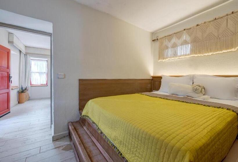 اتاق خانوادگی, Aral Tatil Ciftligi