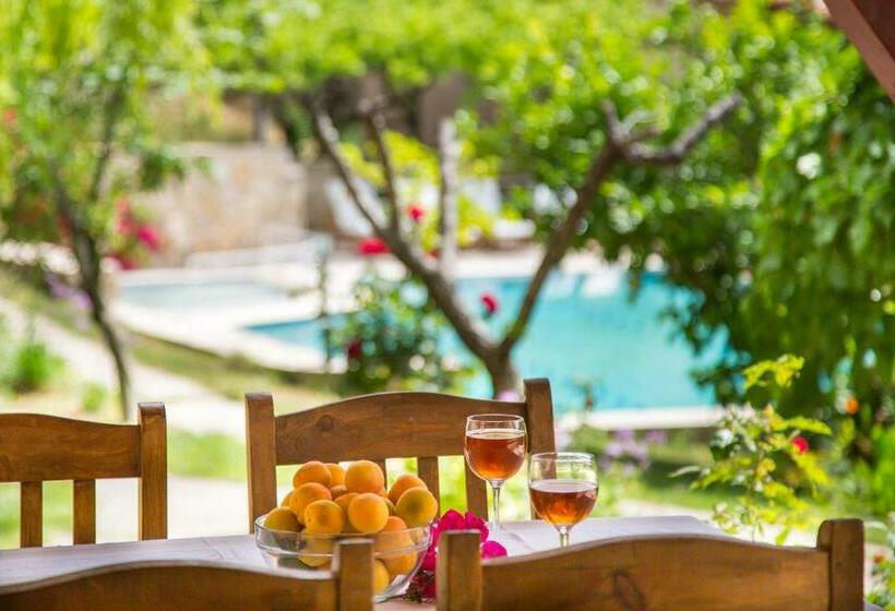 ویلای 3 خوابه, Kleo Cottages