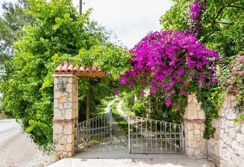 ویلای 2 خوابه, Kleo Cottages