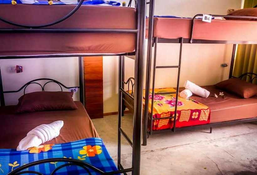 Кровать в Общей Комнате, Infinity Beach Club Resort & Hostel Koh Phangan