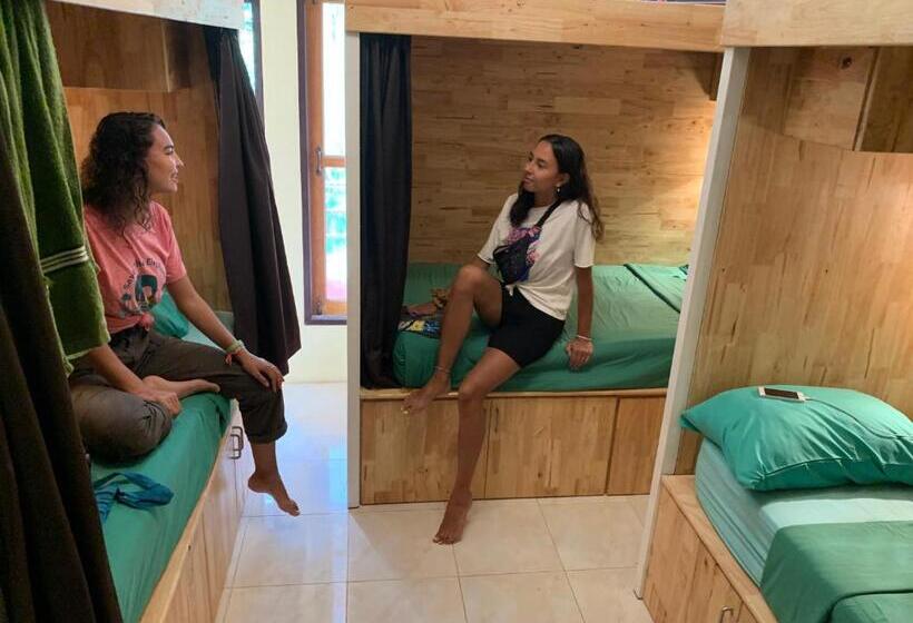 سرير فى غرفة مشتركه, Coco Khao Sok Hostel