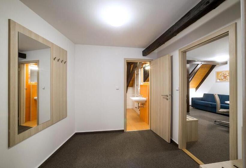 1 Bedroom Penthouse Apartment, Pension Galko