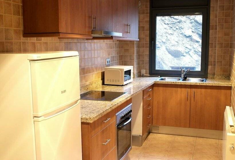 آپارتمان 1 خوابه, Apartamentos Canillo Les Moles 3000