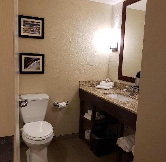 Номер Стандарт 2 Двуспальные Кровати, Comfort Inn & Suites Sidney I 80