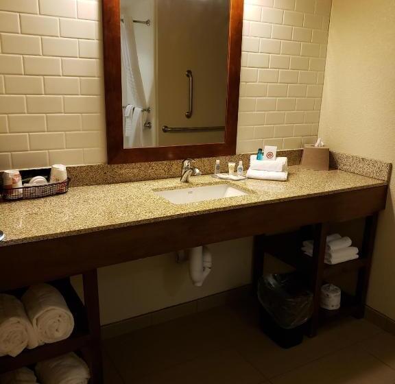 Номер Стандарт Адаптированный для Инвалидов, Comfort Inn & Suites Sidney I 80