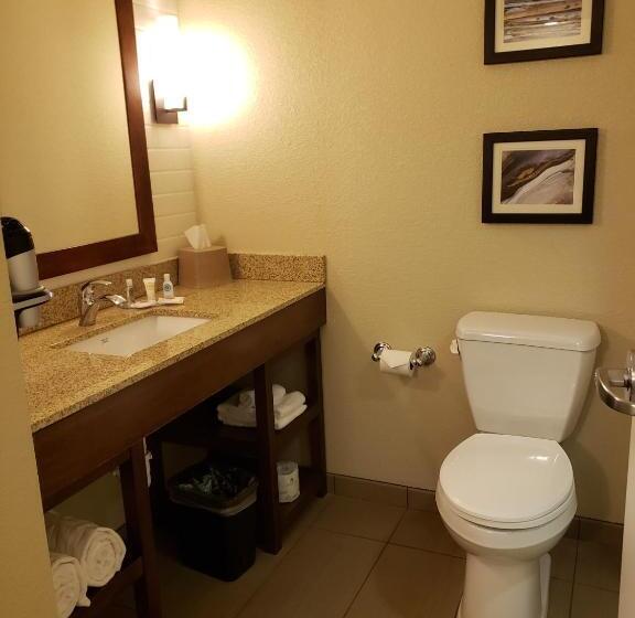 Люкс Кровать Кинг, Comfort Inn & Suites Sidney I 80