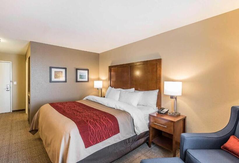 Номер Стандарт Кровать Кинг Адаптированный для Инвалидов, Comfort Inn & Suites Sidney I 80