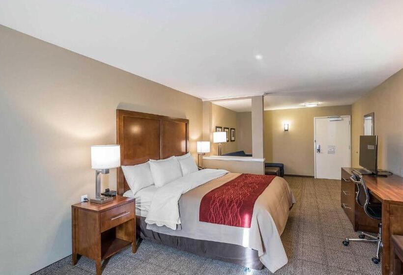 Люкс Адаптированный для Инвалидов, Comfort Inn & Suites Sidney I 80