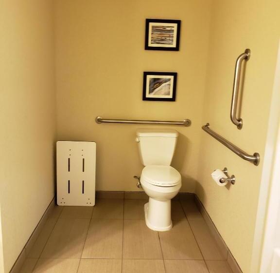 Люкс Адаптированный для Инвалидов, Comfort Inn & Suites Sidney I 80
