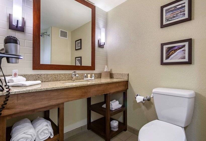 Номер Стандарт 2 Двуспальные Кровати, Comfort Inn & Suites Sidney I 80