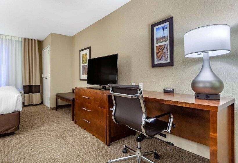 Люкс Адаптированный для Инвалидов, Comfort Inn & Suites Sidney I 80