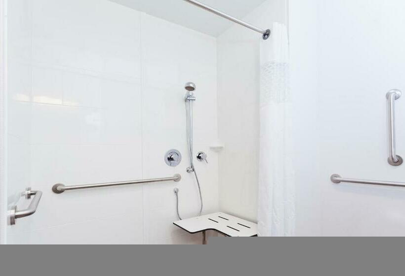 Номер Стандарт Кровать Кинг Адаптированный для Инвалидов, Hampton Inn Eufaula