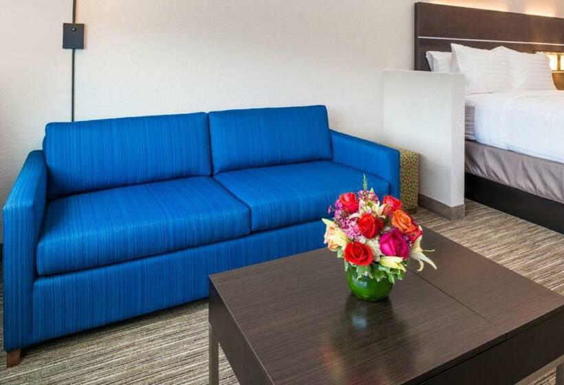 Люкс Повышенной Комфортности, Holiday Inn Express & Suites   Tampa North   Wesley Chapel, An Ihg