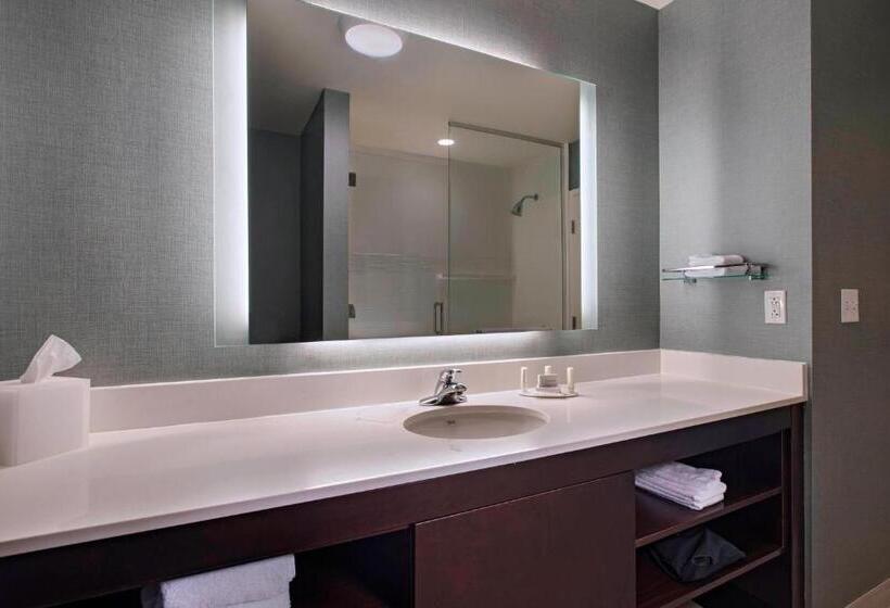 Люкс 2 Спальни, Residence Inn By Marriott Jackson The District At Eastover