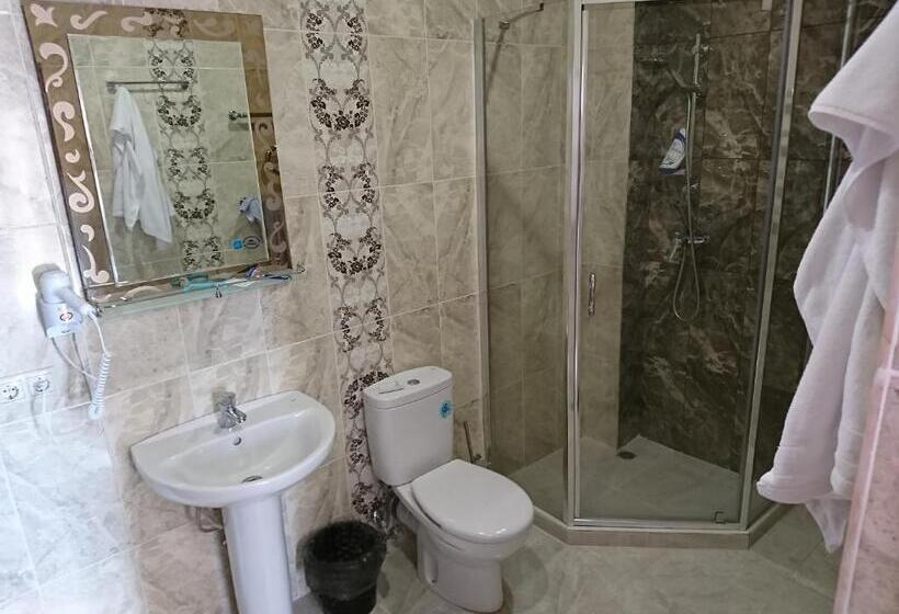 اتاق استاندارد, Gega