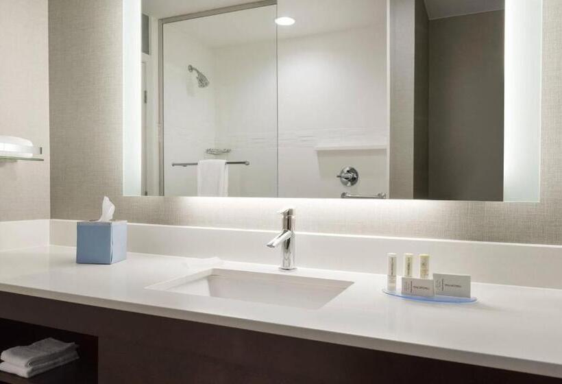 Люкс Кровать Кинг, Residence Inn By Marriott St. Paul Woodbury