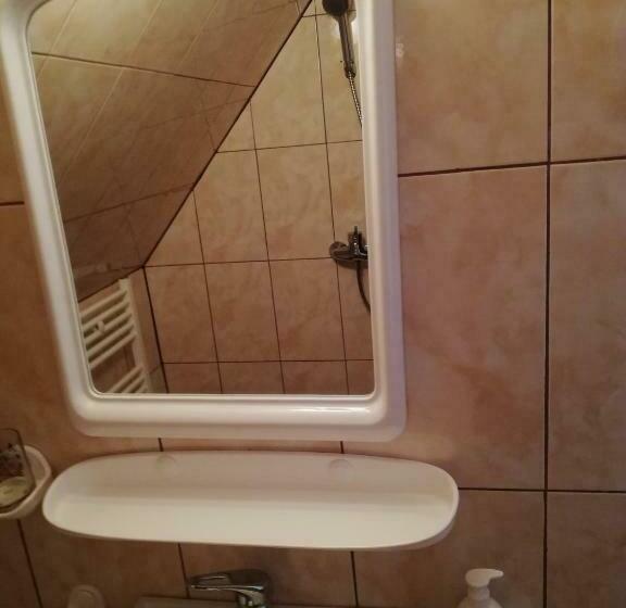 Номер Economy, Casa De Vacanta Padis