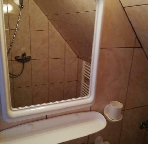 Номер Economy, Casa De Vacanta Padis