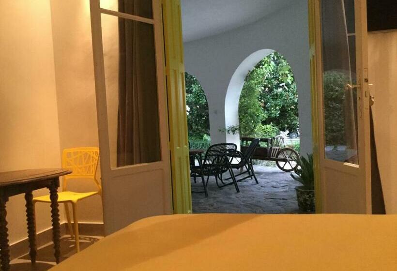 Номер Стандарт, Le Clos Saint André
