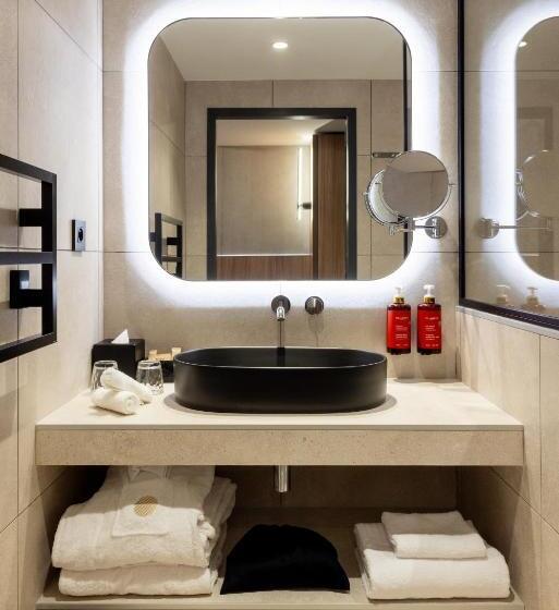 اتاق سوپریور با تخت بزرگ, Pullman Lyon