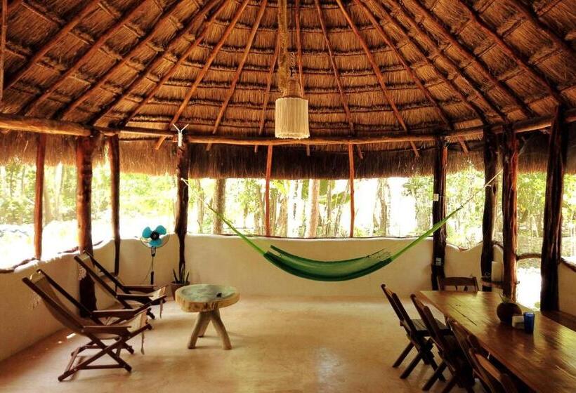 Camera Standard, Room In Lodge   Eco Luxe Mayan Dome Cenote