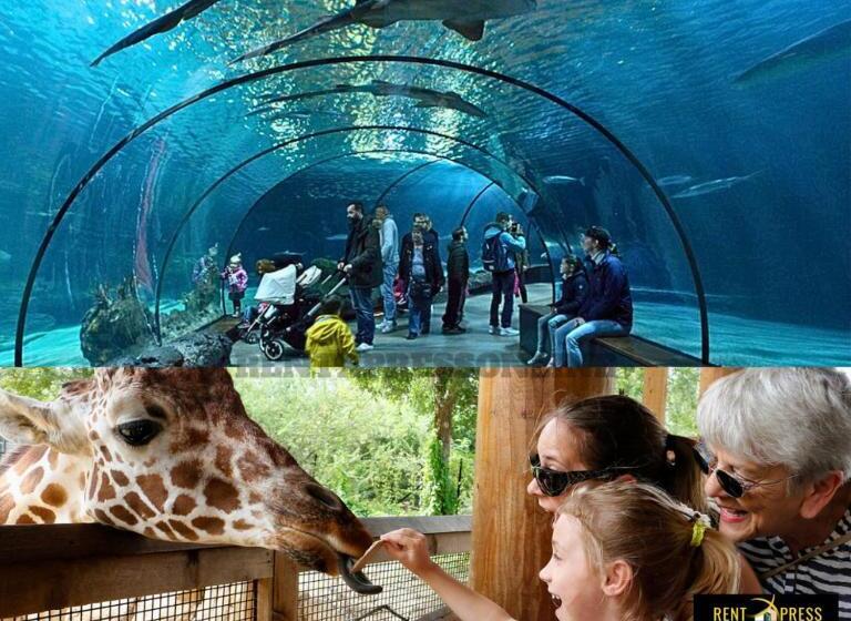 Студия Стандарт Вид на Море, Near Us Embassy X Free Unlimited Pool, Massage & Sauna Access X Promo This Month! Explore Deluxe Stu