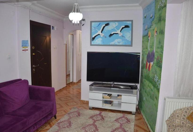آپارتمان 1 خوابه با چشم‌انداز باغ, Işıl