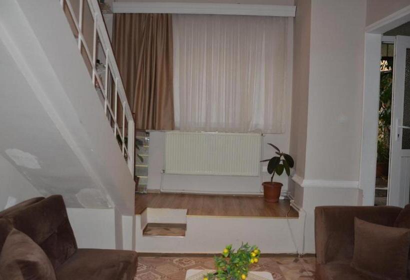 آپارتمان دوبلکس 1 خوابه, Işıl