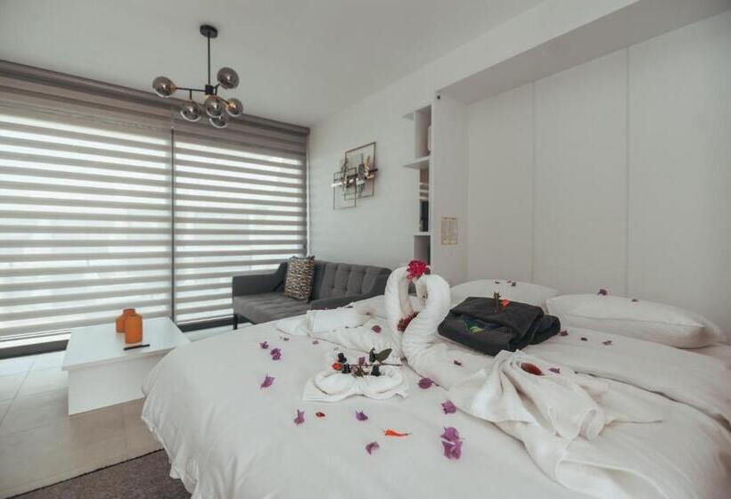 استودیوی استاندارد با چشم‌انداز دریا, Pearl Island Homes