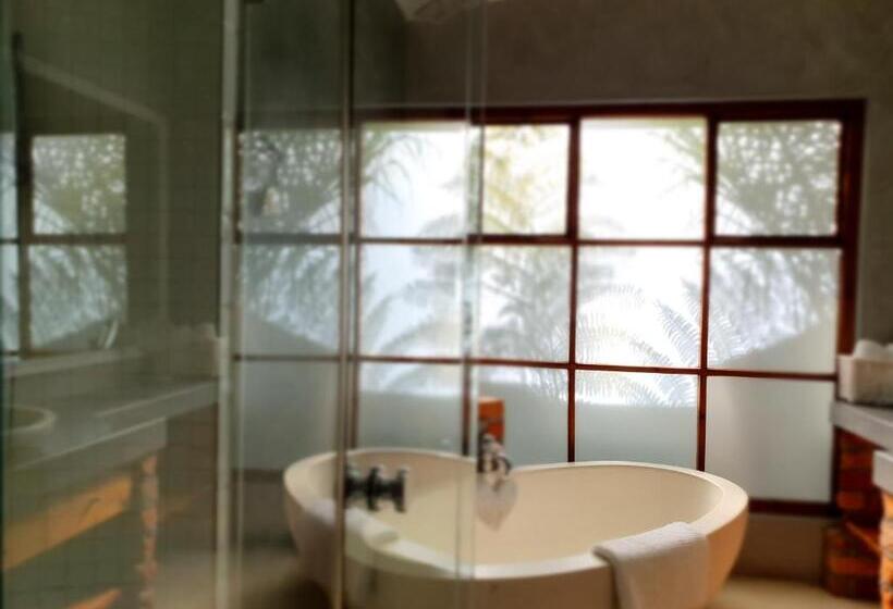 اتاق سوپریور, Two Fat Owls Guesthouse