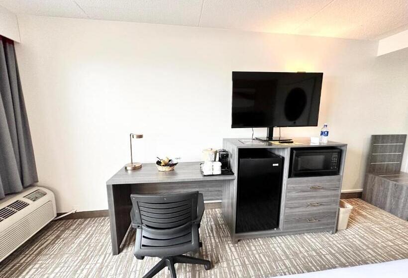 Номер Deluxe, Kiteville Cedar Rapids