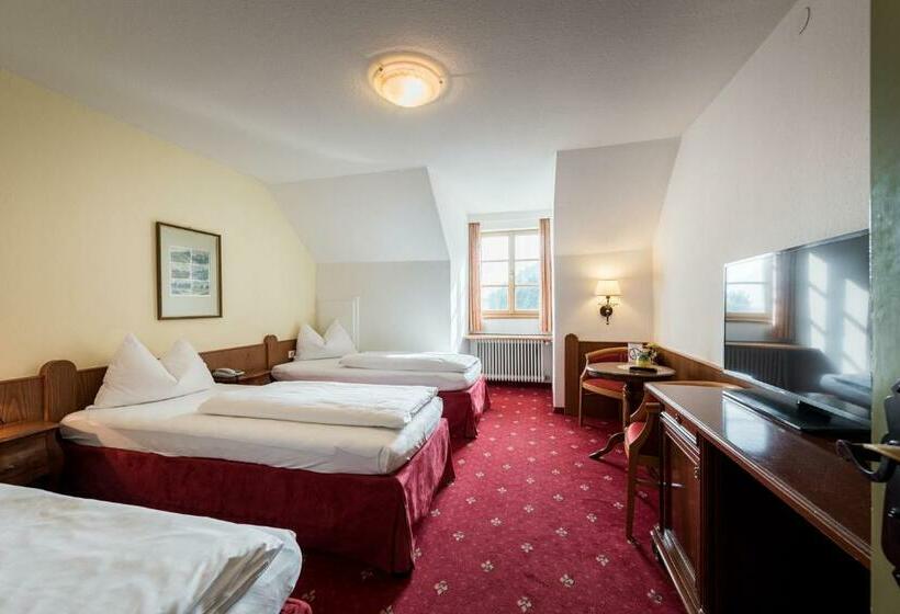 اتاق استاندارد سه نفره, Plankenhof B&b