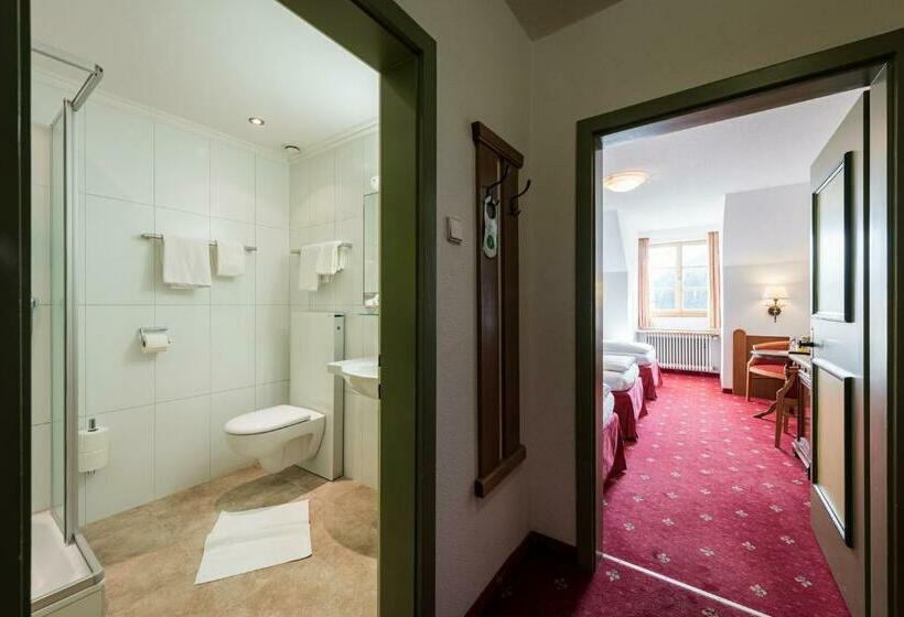 اتاق استاندارد سه نفره, Plankenhof B&b
