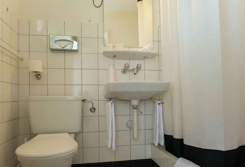 Номер Стандартный с Видом, Jungfrau Hotel Annex Alpine Inn