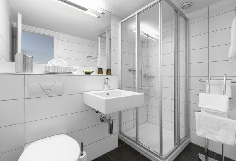 Номер Стандарт Вид на Озеро, Seehotel Baumgarten
