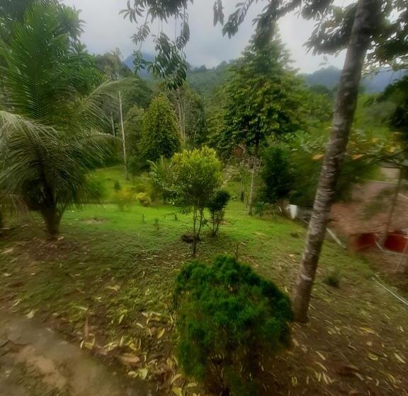 Номер Стандарт, Barus Jungle View