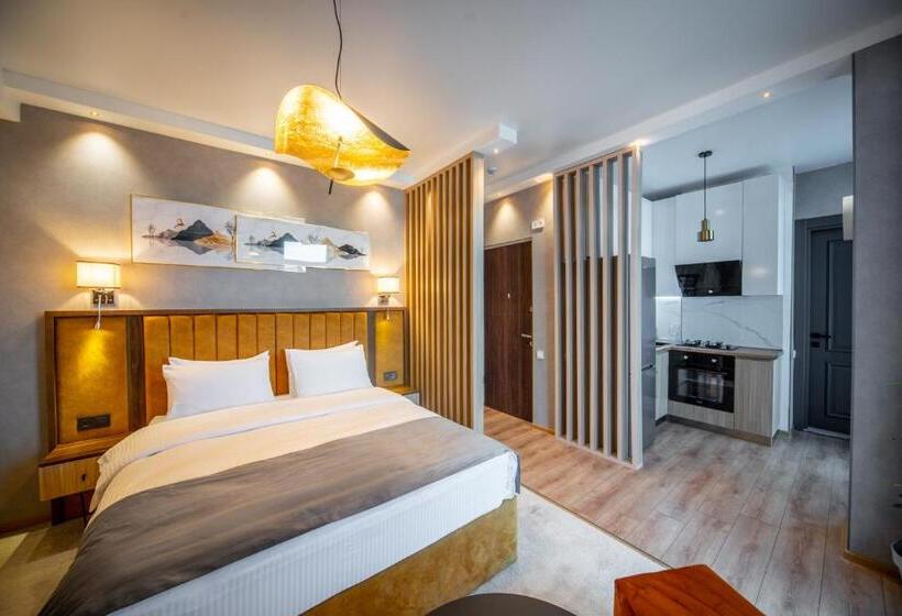 استودیو استاندارد با بالکن, Gori Apartments