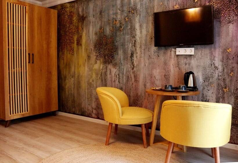 غرفة قياسية, Karamazov Antik Otel
