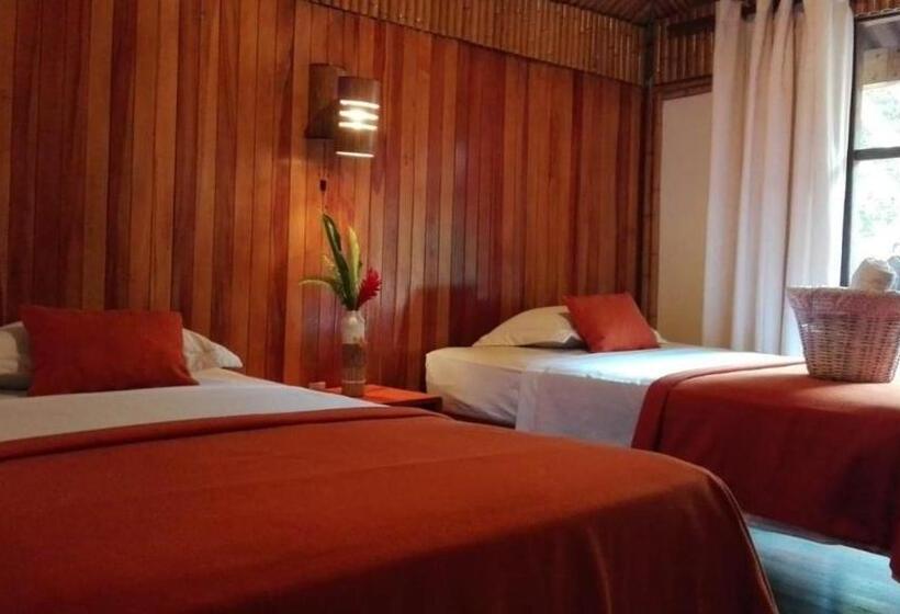 اتاق استاندارد, Gad Gha Kum   El Mensajero Lodge