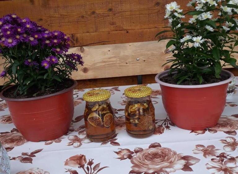 اتاق خانوادگی, Household Ušćumlić   Oaza Mira