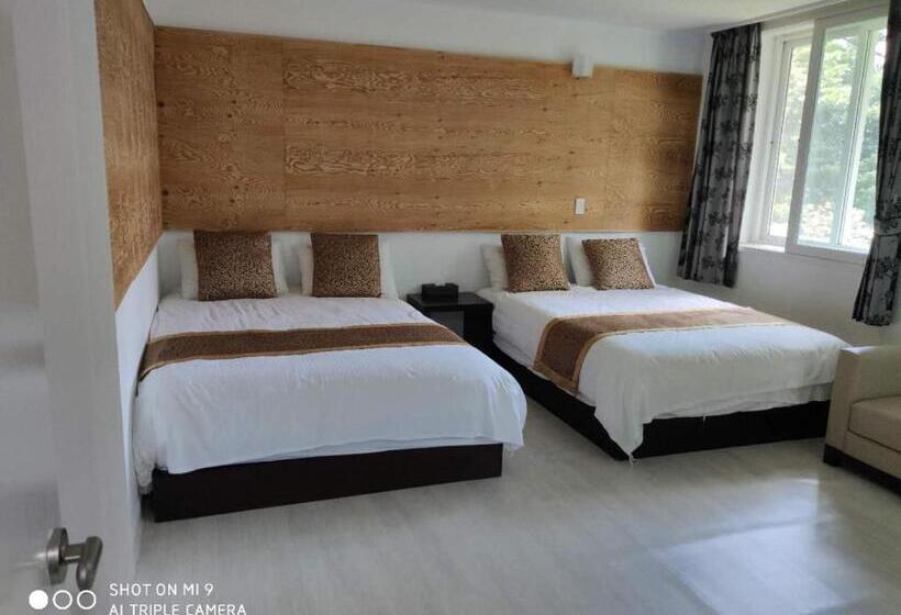 اتاق استاندارد چهار تخته, Star House/星之家酒店