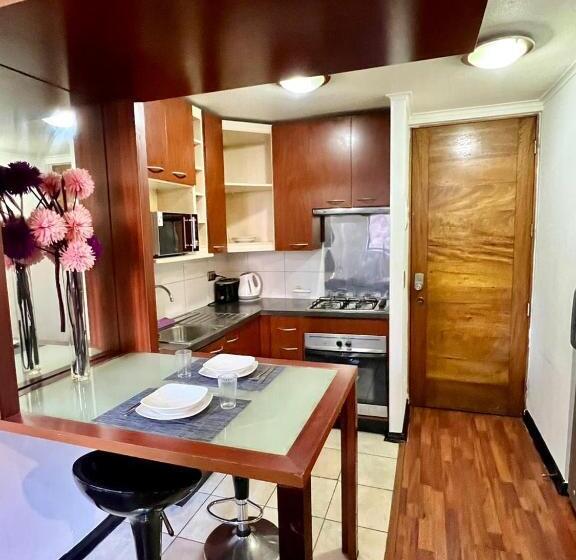 آپارتمان لوکس 1 خوابه, Tremo Santiago Suite Aparment