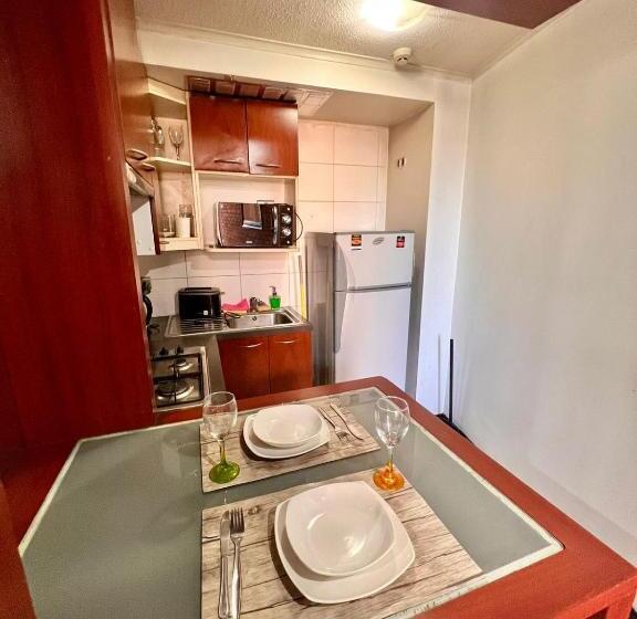 آپارتمان لوکس 1 خوابه, Tremo Santiago Suite Aparment