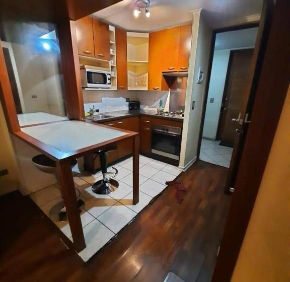 آپارتمان لوکس 1 خوابه, Tremo Santiago Suite Aparment