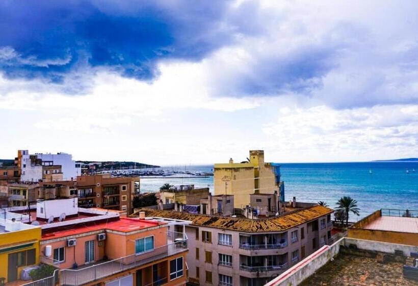 اتاق استاندارد, Level Mallorca  Living