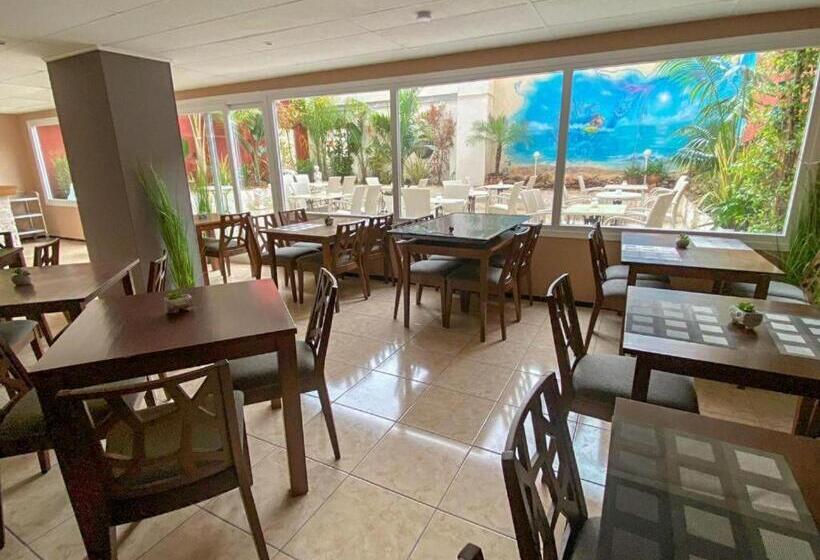 اتاق استاندارد, Level Mallorca  Living