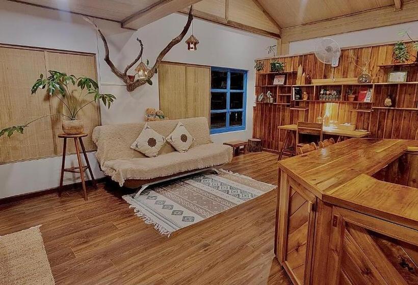 استودیو خانوادگی, Tịnh House Phú Quốc
