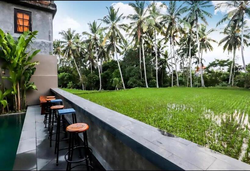 标准间, Harmony House: Just Built, 2 Min Ubud Center /2